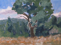 Sketch%203 (thumbnail)