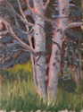 Sketch%208 (thumbnail)