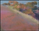Roses%20in%20the%20Trees (thumbnail)