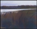 Cattail%20Marsh (thumbnail)