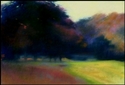 Stand%20of%20Trees (thumbnail)