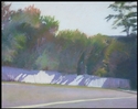 Tall%20Privet (thumbnail)