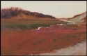 Moors (thumbnail)