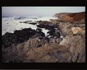 NRS. Bodega Bay Marine Reserve NRS.%20Bodega%20Bay%20Marine%20Reserve (thumbnail)