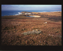 NRS:Bodega Marine Laboratory NRS%3ABodega%20Marine%20Laboratory (thumbnail)