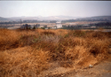 Riverside County #1 Riverside%20County%20%231 (thumbnail)