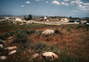 Riverside County#2, Ranchos Riverside%20County%232%2C%20Ranchos (thumbnail)