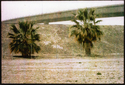 Riverside (thumbnail)