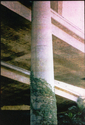 3M Color-In-Color Process, California Photography, Early Digital photography - Landscape Photography