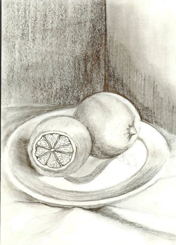 Drawing-Still Life-Lime Fruit