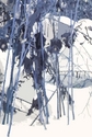Organic Blue