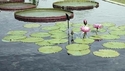 Green Lily