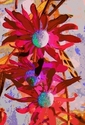 Blue Daisy