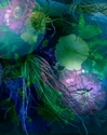 Onions 16