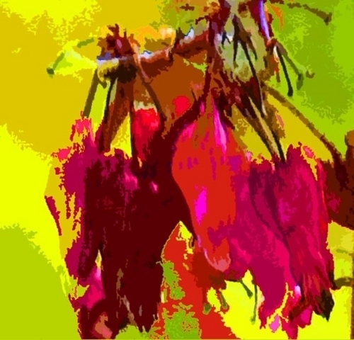 Digital Art-Photography-Bleeding Hearts