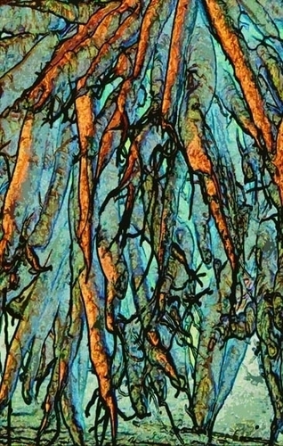 Digital Art-Carrots 5x8