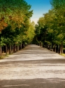 Thematic Work Thematic%20Work (thumbnail)