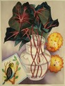 Painting--Watercolor-Still LifeCaladium and Horned Melon