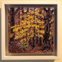 Sketch%2C%20Beech%20Sapling%20Berkshires%2C%20November (thumbnail)