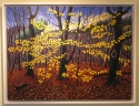 Beech%20Sapling%2C%20Berkshires%2C%20November (thumbnail)