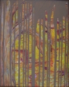 Rainy%20Forest (thumbnail)