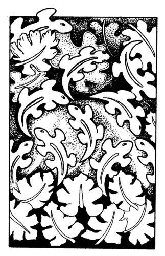 Drawing-fantasy geckos in flight
