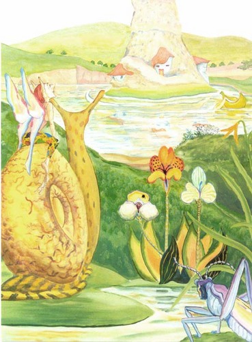 Other-The Land of Judley, up close