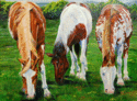 Three%20Mares%20Grazing (thumbnail)