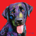 Pop%20Dog (thumbnail)