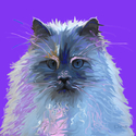 Himalayan%20Cat-%20Don%27t%20look%20at%20me%20that%20way-purple (thumbnail)