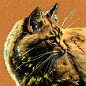 King (thumbnail)