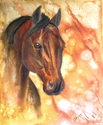 Bay%20Stallion (thumbnail)