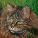 Fluffy (thumbnail)