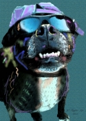 Harley (thumbnail)