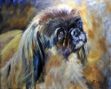 Dog painting, horse with wings, Portrait paintings of pets horses an people - Animals Painting