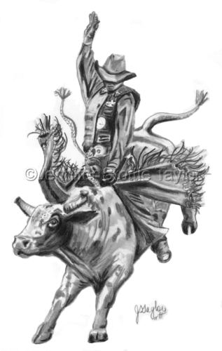 Bullrider%202011 (large view)