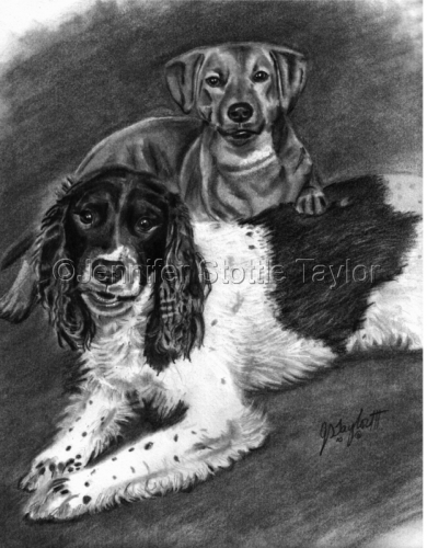 I%20Ruff%20to%20Read%20Dogs (large view)