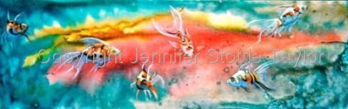 Goldfish%20Swim (thumbnail)