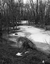 Ice covered slough, near La Crosse, Wisconsin 1984 0303a