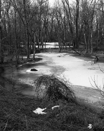 Photography-Landscape-Ice covered slough, near La Crosse, Wisconsin 1984 0303a