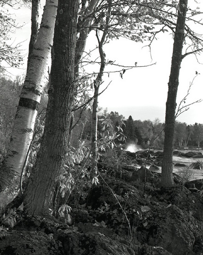 Photography-Landscape-Shore wave, birches, Lake Superior 1996 1011f