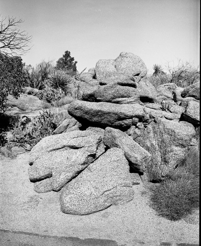 Photography-Nature-Granite jumble, above Palm Desert, California r00-0119-6