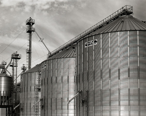 Photography-Grain bins, southern Wisconsin 2003 0829