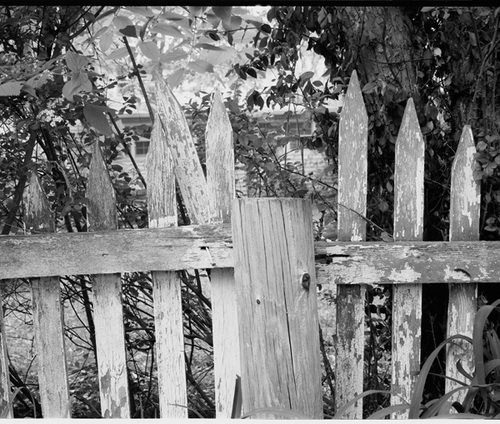 Photography-Landscape-Old picket fence, Bloomington, Indiana r02-0511-3