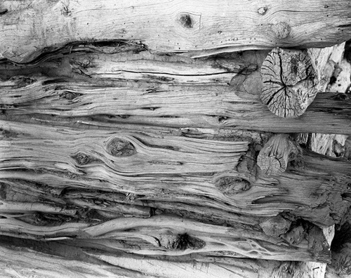 Photography-Detail, Wolfe ranch cabin , Arches National Park, Utah r05-0514d-1