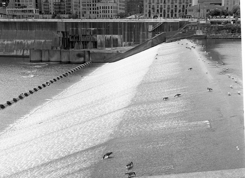 Photography-St. Anthony Falls, Minneapolis, Minnesota r07-0813-12