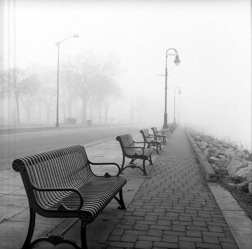 Photography-Benches in fog, Riverside Park, La Crosse, Wisconsin r07-0324-7