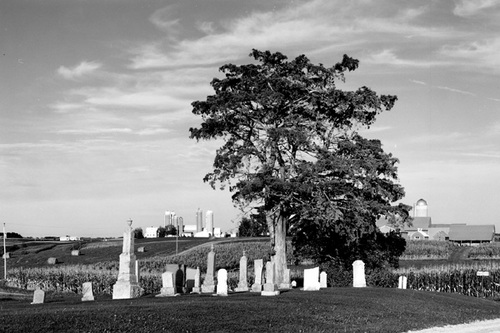 Photography-Landscape-Cemetery and farm , Vernon County, Wisconsin1998 0920