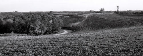 Photography-Landscape-Contoured field, La Crosse County, Wisconsin 1998 0928a