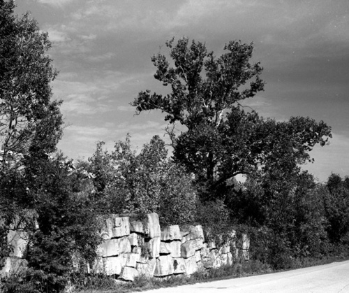 Photography-Landscape-Limestone pile and trees, near Elletsville, Indiana r07-1014a-07